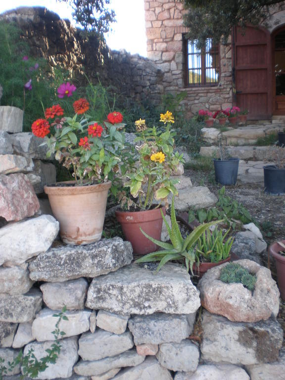 Mas Del Salin Villa Cornudella de Montsant Exteriör bild